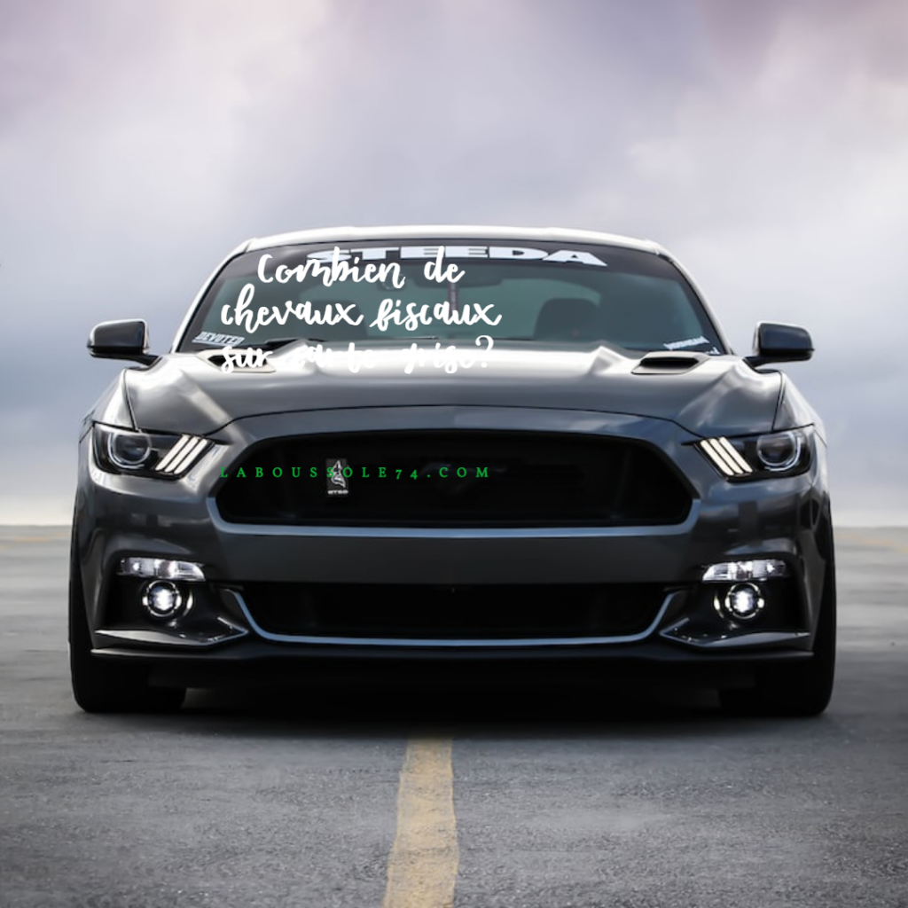 Combien de chevaux fiscaux sur carte grise?